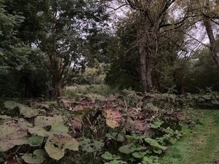 Ferienhaus Faxe Ladeplads  19