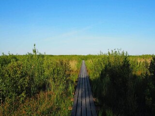 Vakantiehuis Spodsbjerg  7