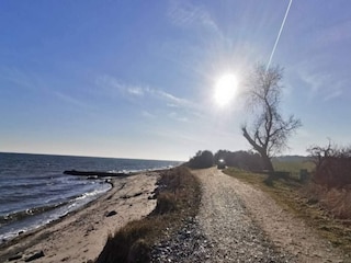 Ferienhaus Spodsbjerg  14