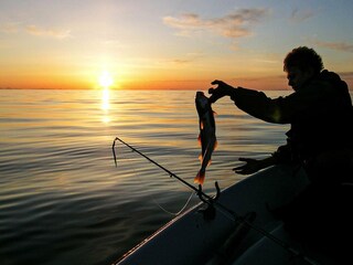 Maison de vacances Tranøy  28