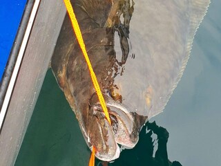 Maison de vacances Tranøy  15