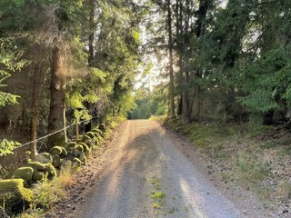 Vakantiehuis Grohed  16