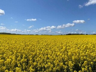 Vakantiehuis Vellerup  17