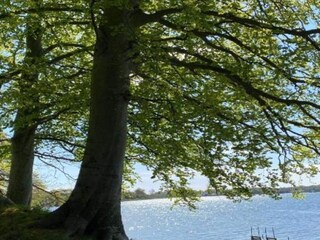 Vakantiehuis Vellerup  5