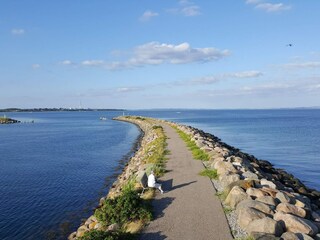 Casa de vacaciones Djursland  35