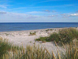 Vakantiehuis Læsø  8