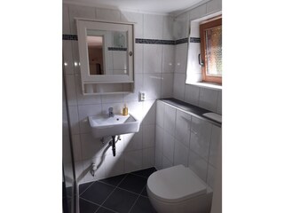 Modernes Duschbad mit Fenster