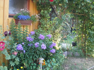 Blütenpracht am Gästehaus im Sommer