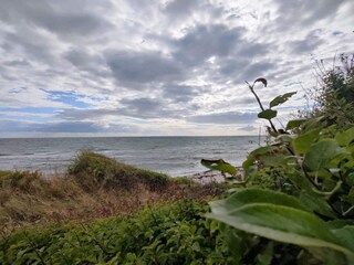 Ferienhaus Bjerge Strand  31