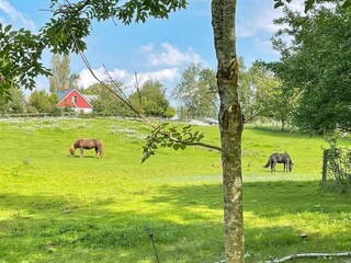 Casa de vacaciones Anderslöv  12