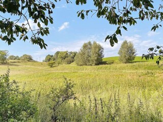 Casa per le vacanze Anderslöv  23
