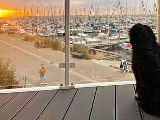 Apartamento Wendtorf  7