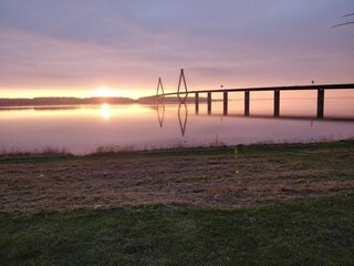 Ferienhaus Bogø  23