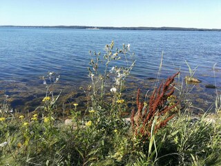 Ferienhaus Bogø  14