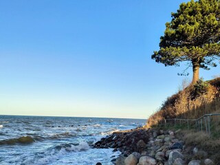 Holiday house Brenderup  18