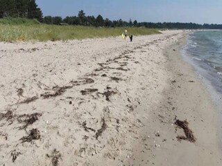 Holiday house Knebel  24