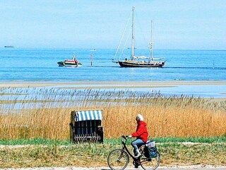 Appartement Wendtorf  23