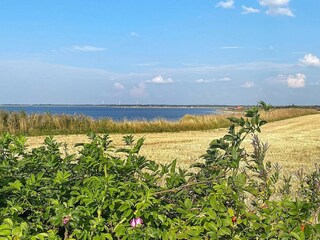 Holiday house Handbjerg  15