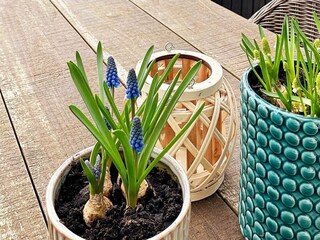 Casa de vacaciones Handbjerg Grabación al aire libre 1