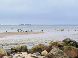 Appartamento Wendtorf Registrazione all'aperto 1