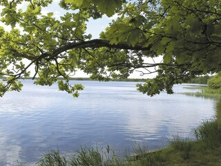 Vakantiehuis Ansager  16