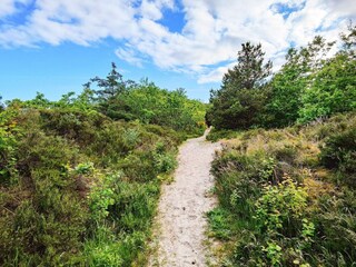 Vakantiehuis Hals  31