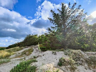 Vakantiehuis Hals  7