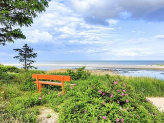 Casa per le vacanze Hals  33