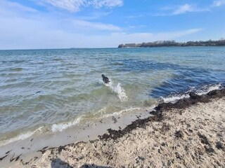 Casa de vacaciones Hejlsminde  34