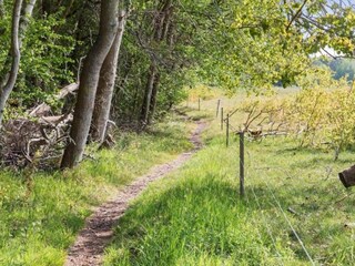 Vakantiehuis Ulvshale  14