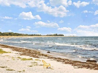 Casa per le vacanze Ulvshale  5