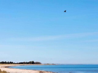 Ferienhaus Ulvshale  11