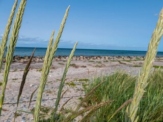 Holiday house Ulvshale  8