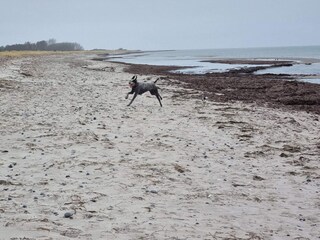 Ferienhaus Ulvshale  32