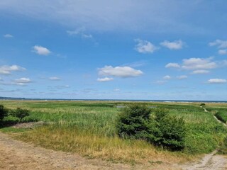 Holiday house Vig  24