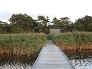 Holiday house Vig  2