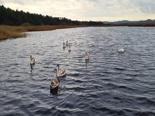 Casa per le vacanze Vig  26
