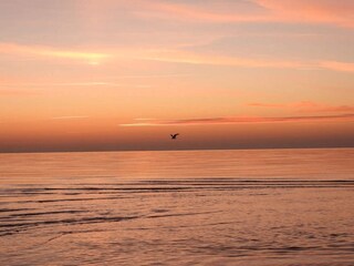 Holiday house Vig  43