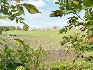 Vakantiehuis Kivik  12