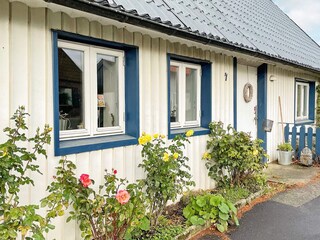 Vakantiehuis Kivik Buitenaudio-opname 2