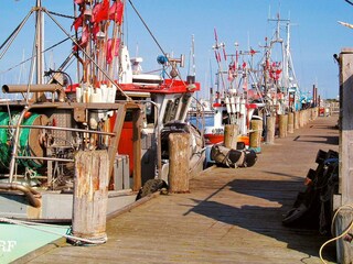 Appartamento Wendtorf  13