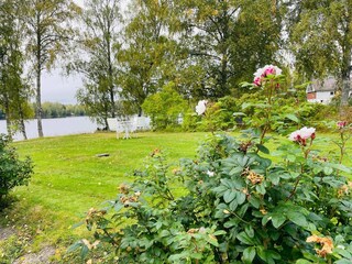 Ferienhaus Bengtsfors  28