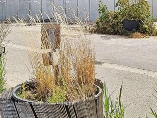 Appartamento Wendtorf  28