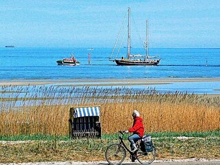 Appartamento Wendtorf  29