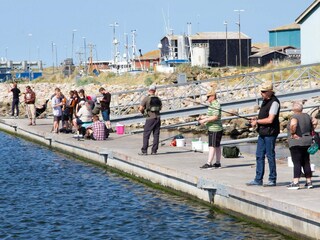 Vakantiehuis Hvide Sande  48