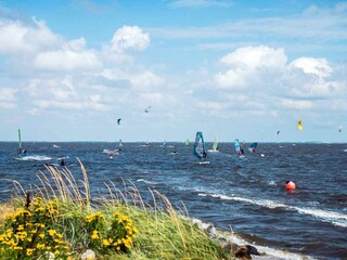 Ferienhaus Hvide Sande  22