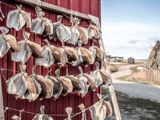 Maison de vacances Hvide Sande  47