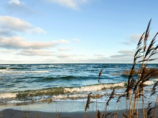 Appartamento Wendtorf Registrazione all'aperto 1