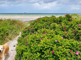 Appartamento Wendtorf  53