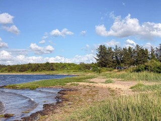 Vakantiehuis Hvalpsund  30